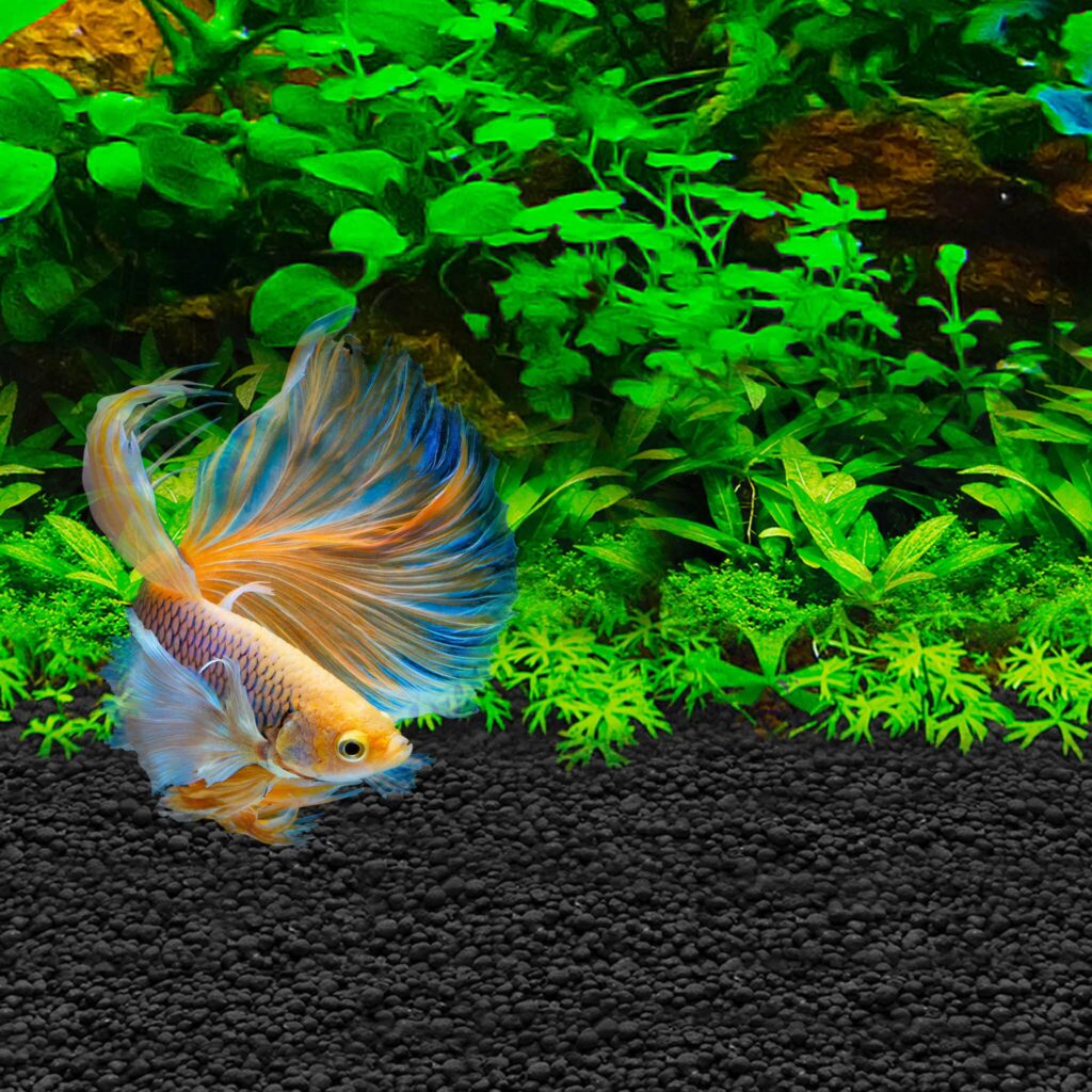 Sustrato para Bettas Fluval Stratum 800g