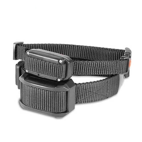 DogTrace EDGE - Collares adicionales