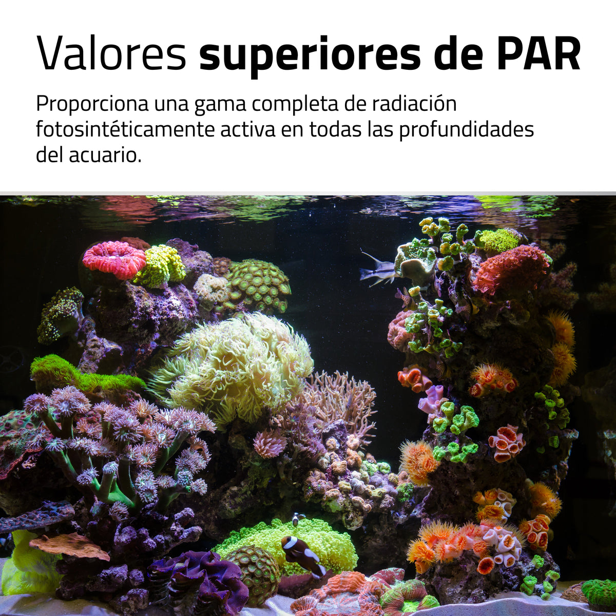 Pantalla Fluval Reef 4.0 LED