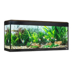 Acuario con iluminación LED bluetooth Fluval Roma de 125L