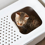 Bandeja arenero de gato "Wc Hop In"