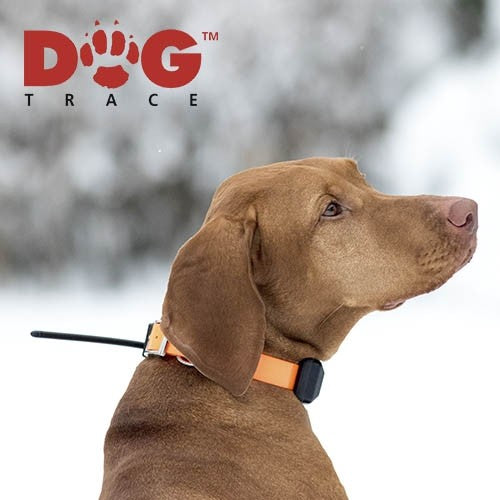 Localizador GPS Dogtrace X20+
