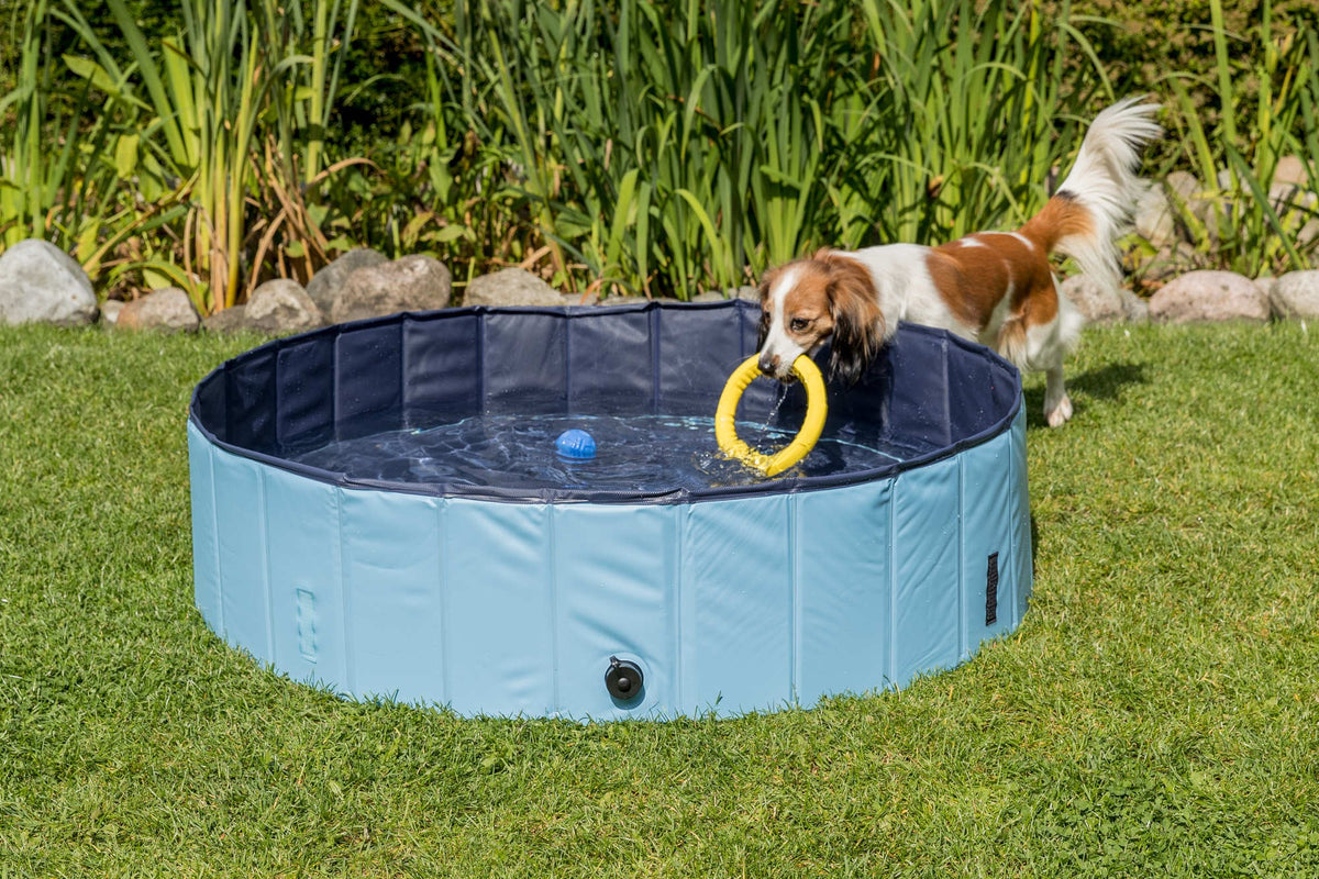 Piscina para Perros Trixie