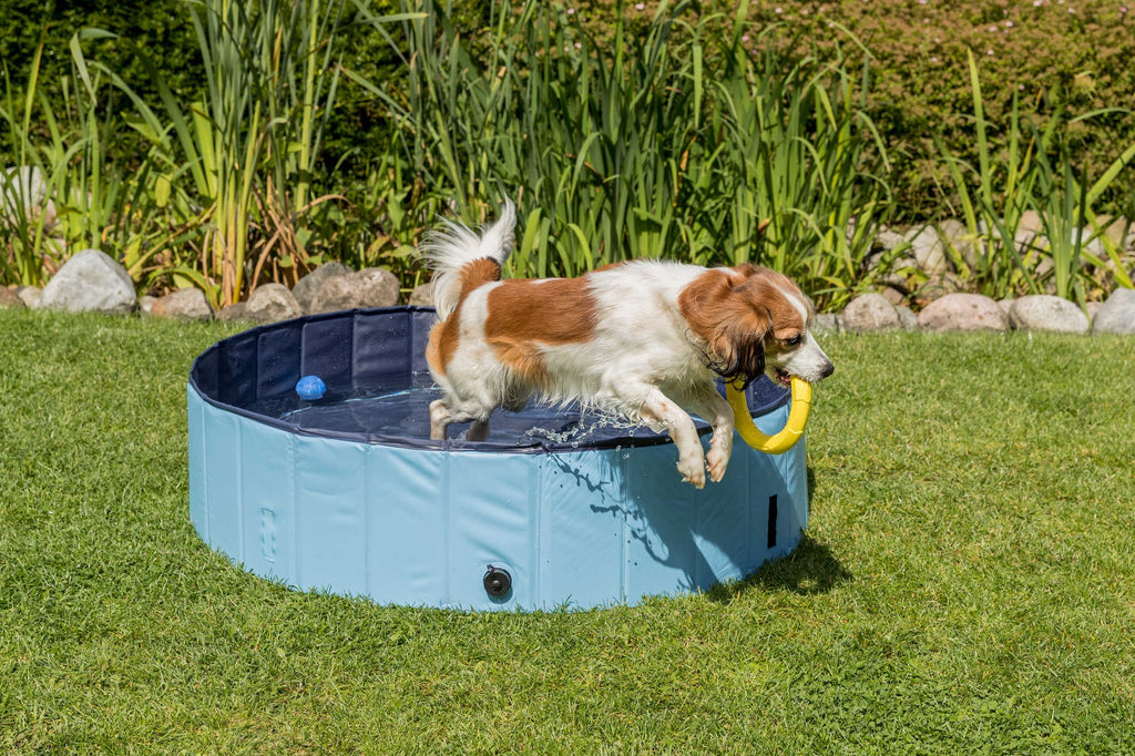 Piscina para Perros Trixie