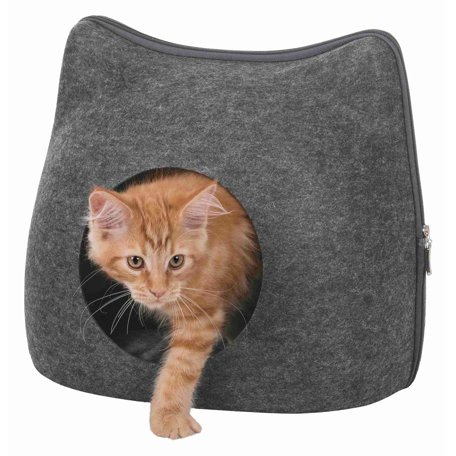 Cueva Suave Cat