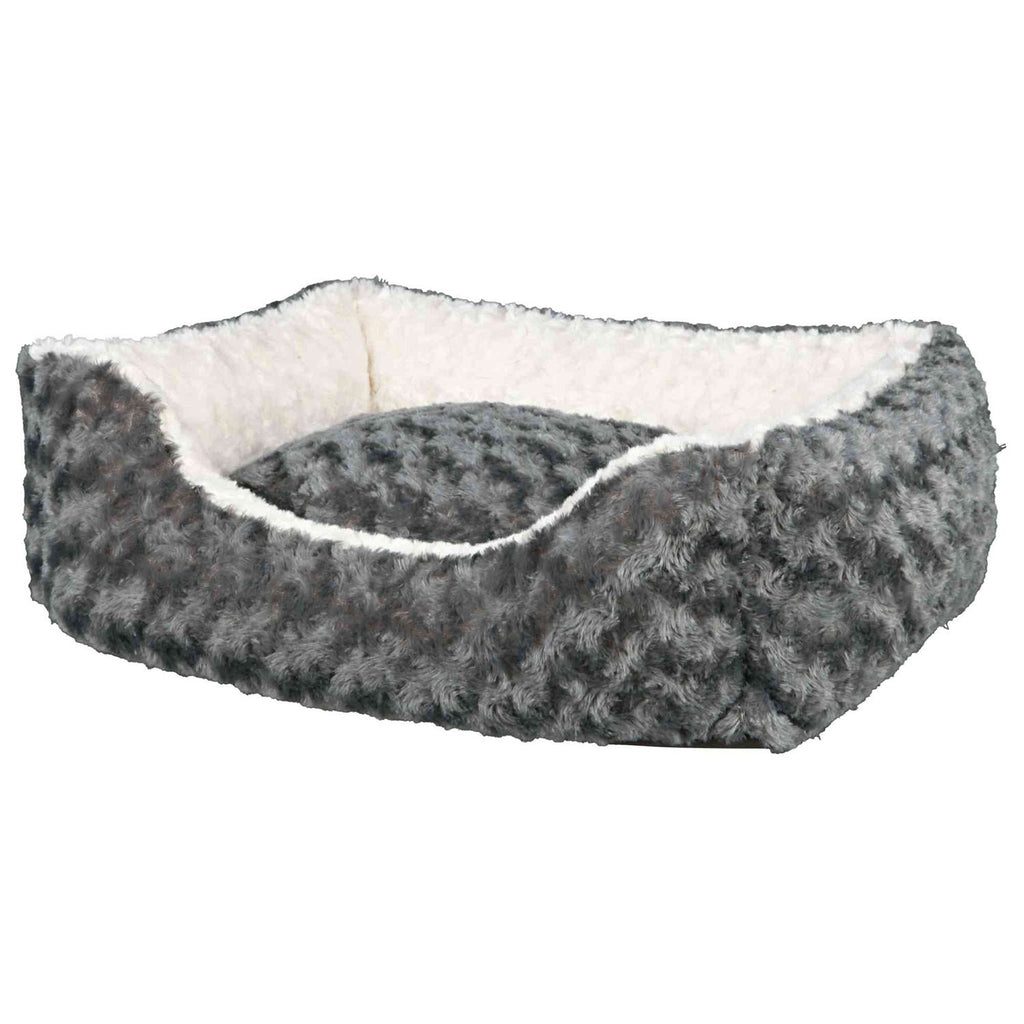 Cama Kaline