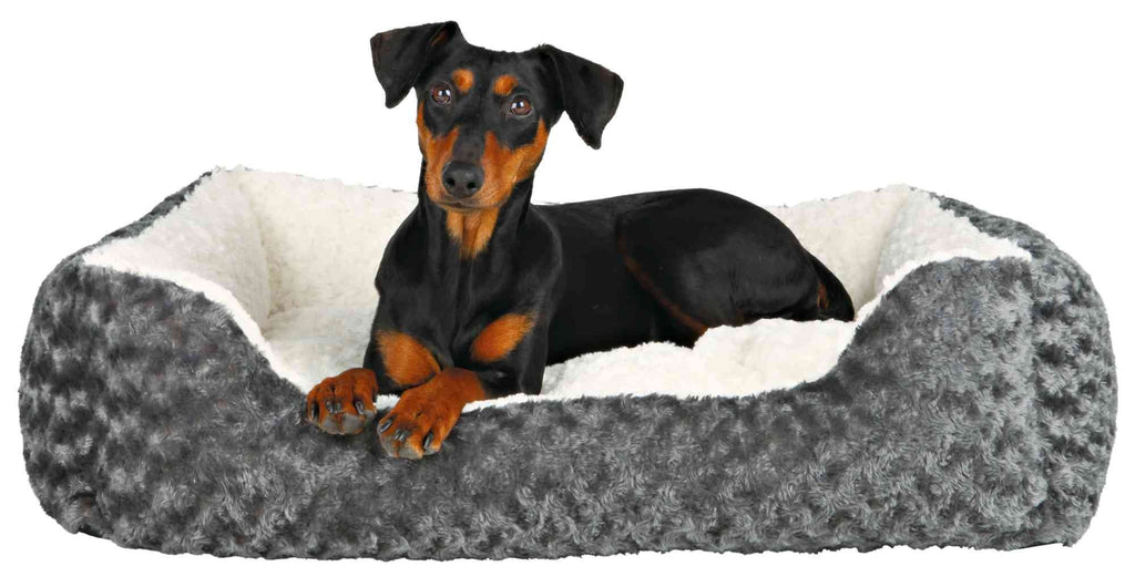 Cama Kaline