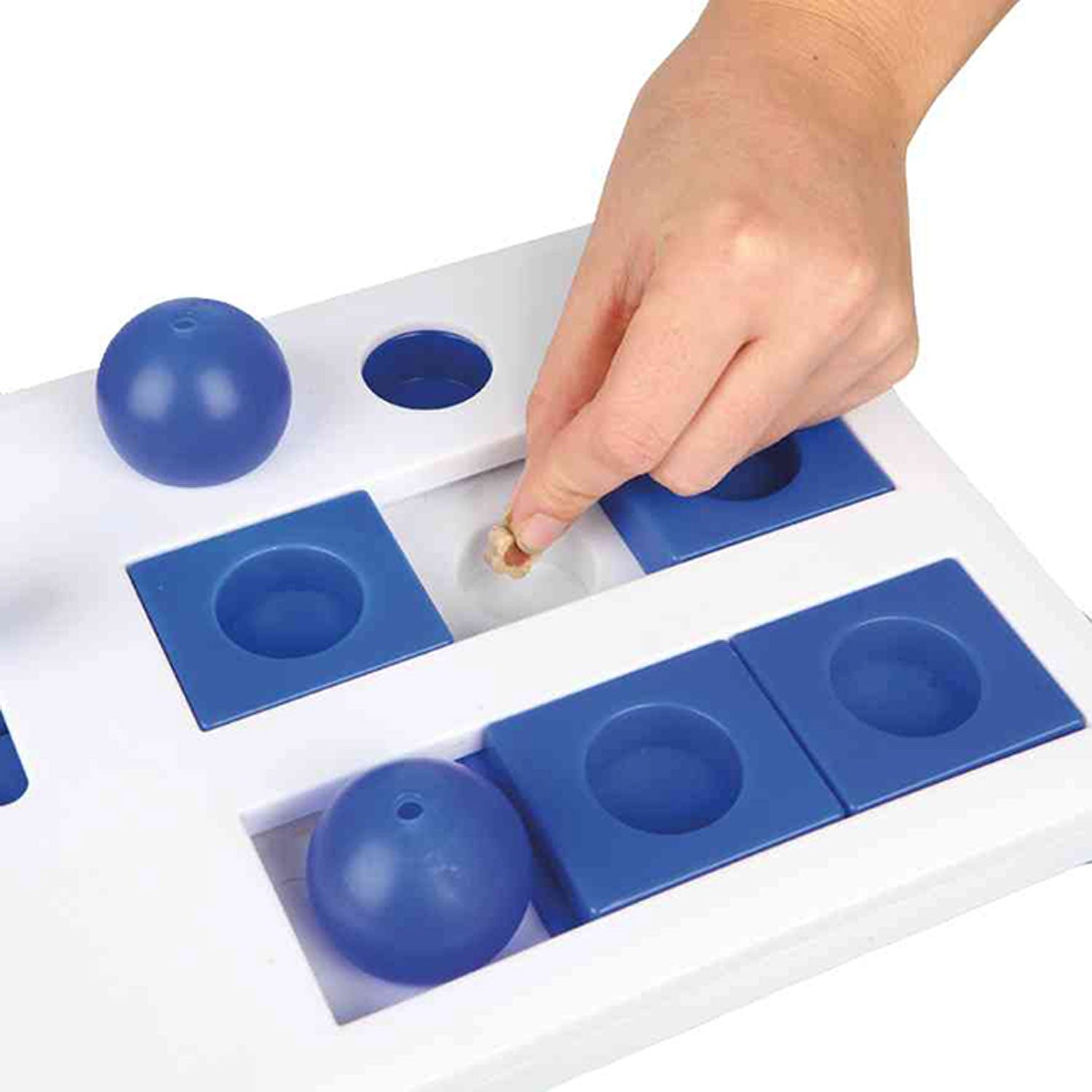 Juego Interactivo Brain Mover