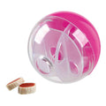 Pelota Snacks Activity