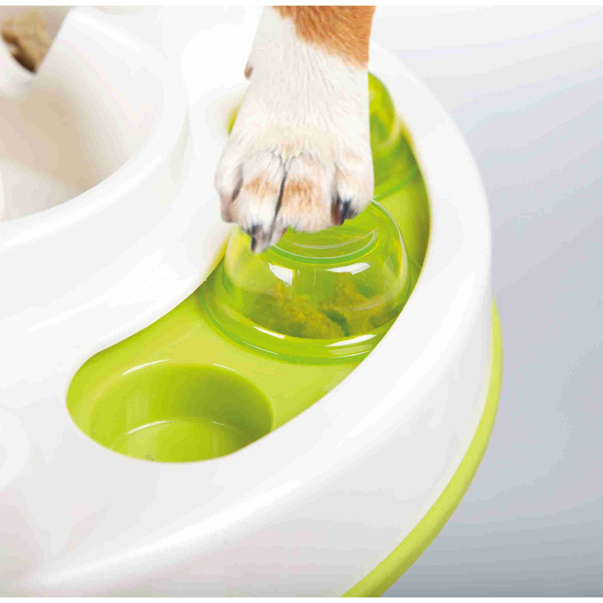 Juego Interactivo Slide & Feed