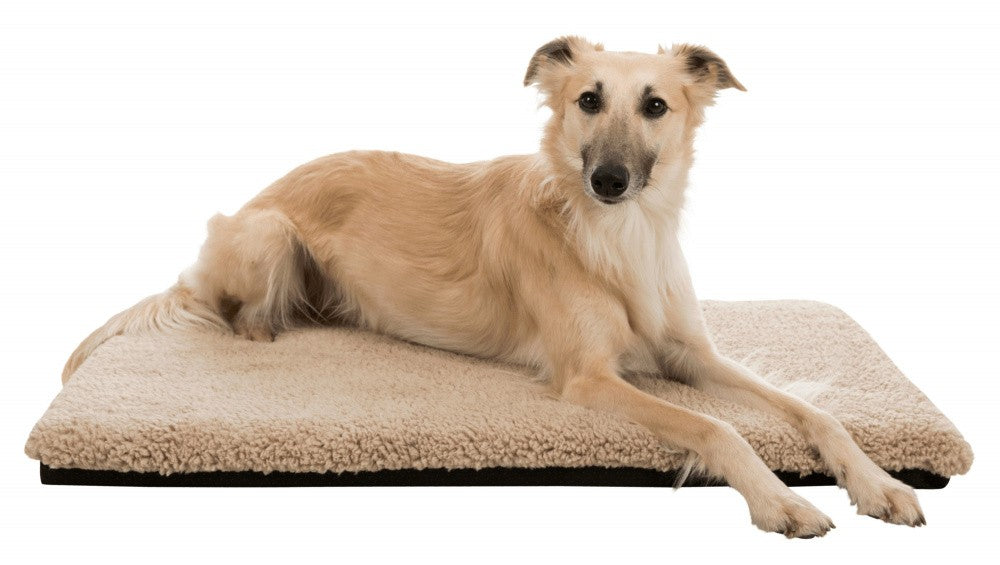 Colchoneta Ortopédica para Perros Vital Bendson