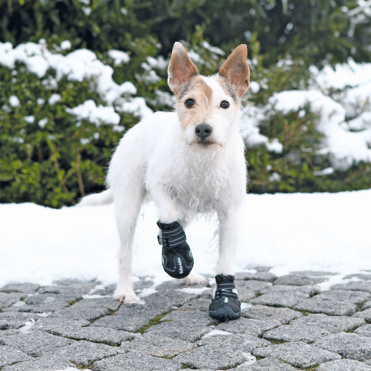 Botas Protectoras Walker Active