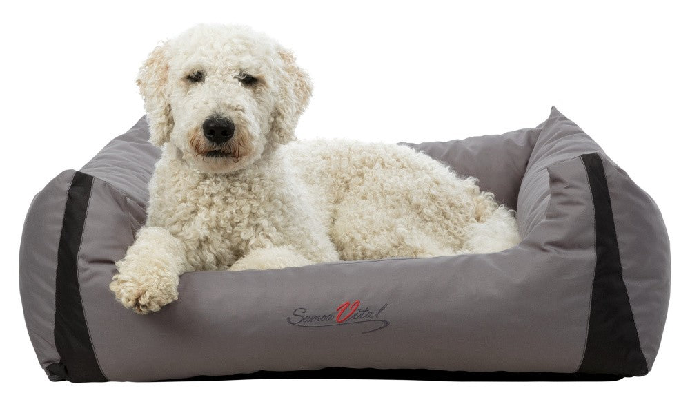 Cama Ortopédica Samoa Vital Gris