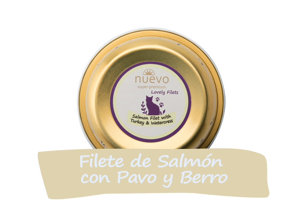 Tarrina Gato TASTY Filetes de Salmón y Pavo NUEVO 12 uds - Pack de 12 unidades