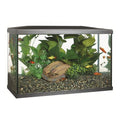 Kit acuario Marina de 38 litros