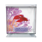 Bettera Kit Marina Betta