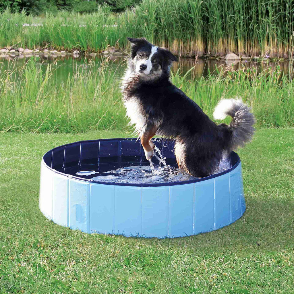 Piscina para Perros Trixie