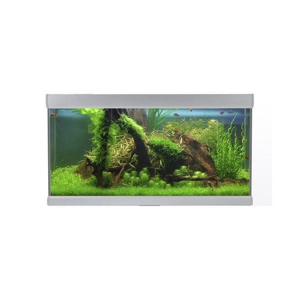 Acuario FUSION