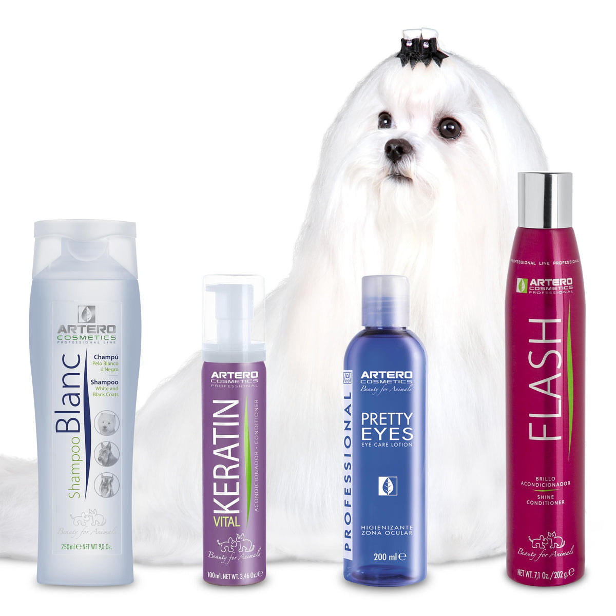 Kit Pack Raza Bichón Maltes
