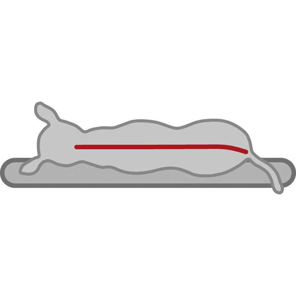 Cama ortopédica para perros Vital Bendson