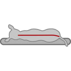 Cama ortopédica para perros Vital Bendson