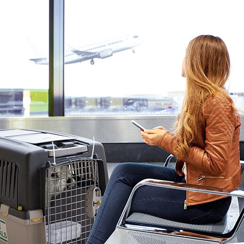 Transportín para perros Gulliver IATA