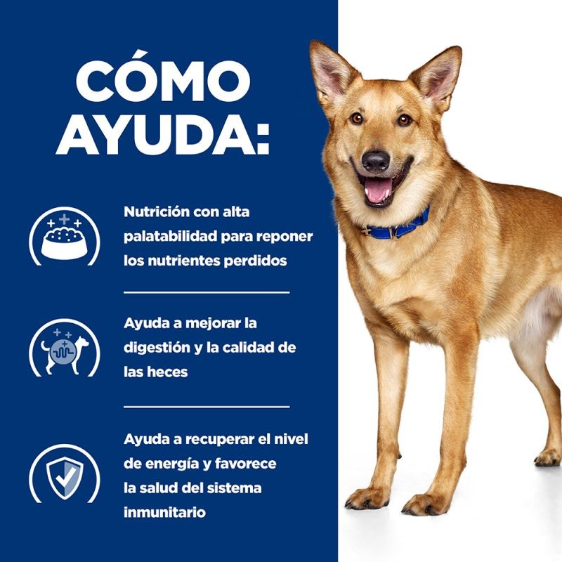Hill's i/d Prescription Diet Digestive Care estofado para perros 12 uds