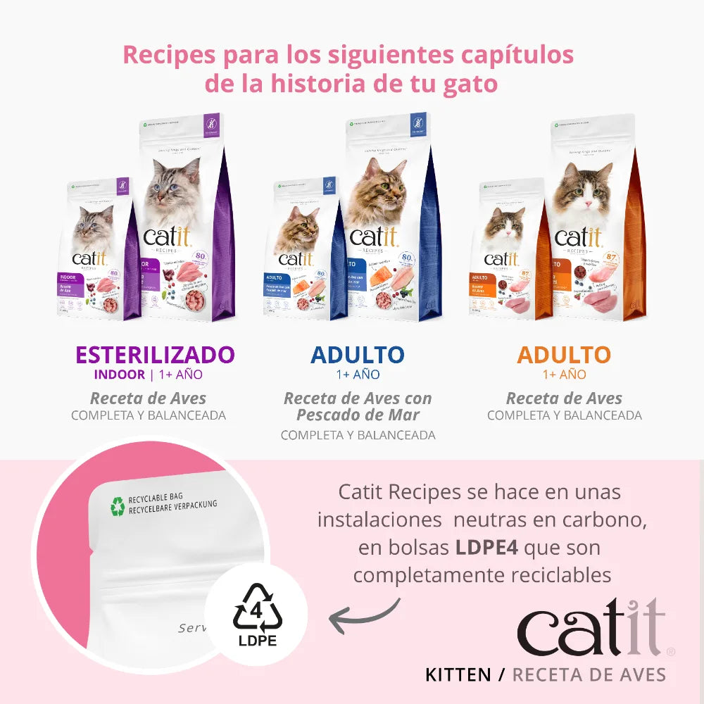 Catit Recipes Kitten Pollo, 2kg - Pack de 4 unidades