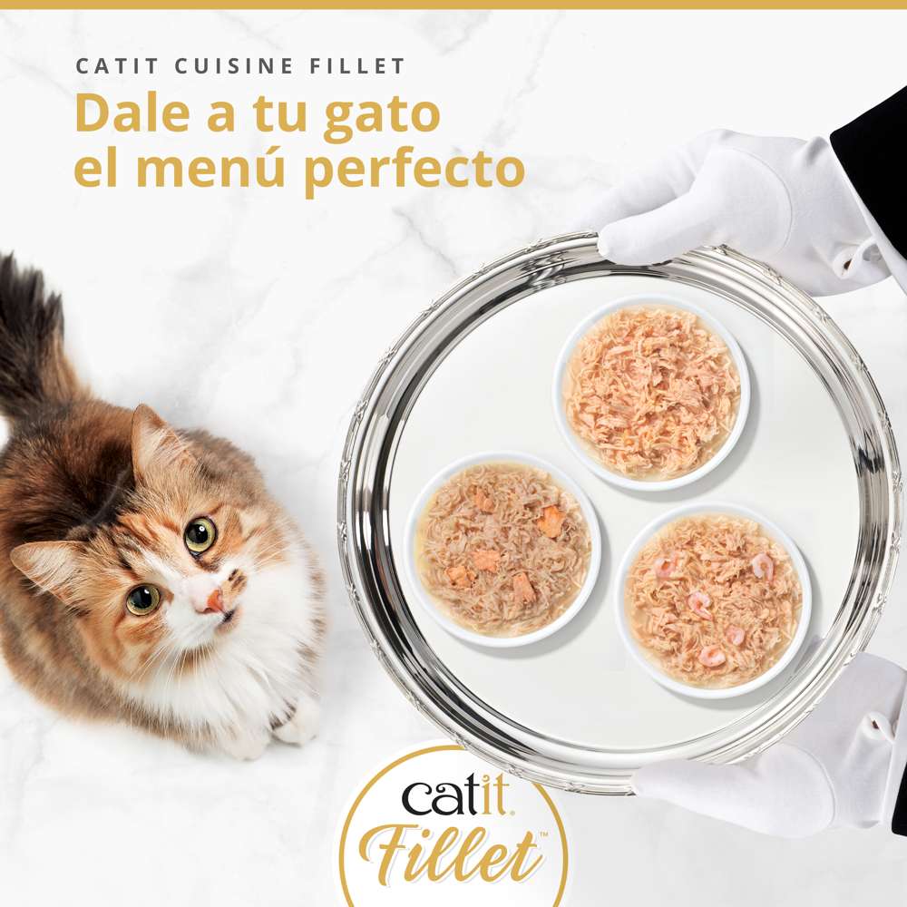 Pollo desmenuzado para gatos Catit Cuisine Fillet 75 - Pack de 12 unidades