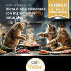 Pollo desmenuzado para gatos Catit Cuisine Fillet 75g - Pack de 12 unidades