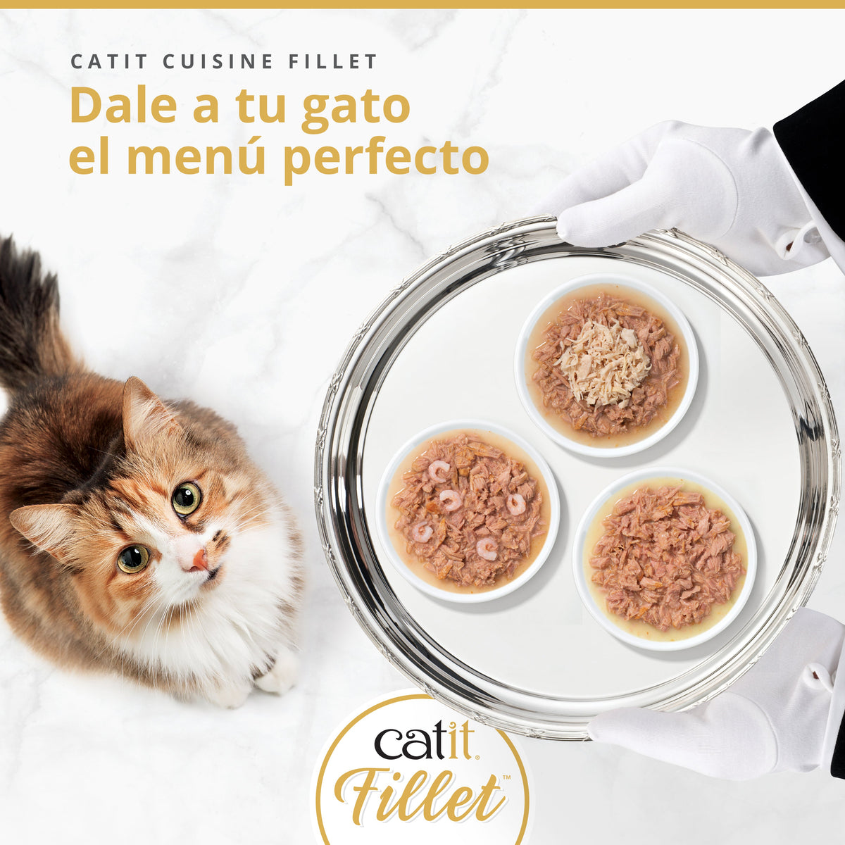 Atún desmenuzado para gatos Catit Cuisine Fillet