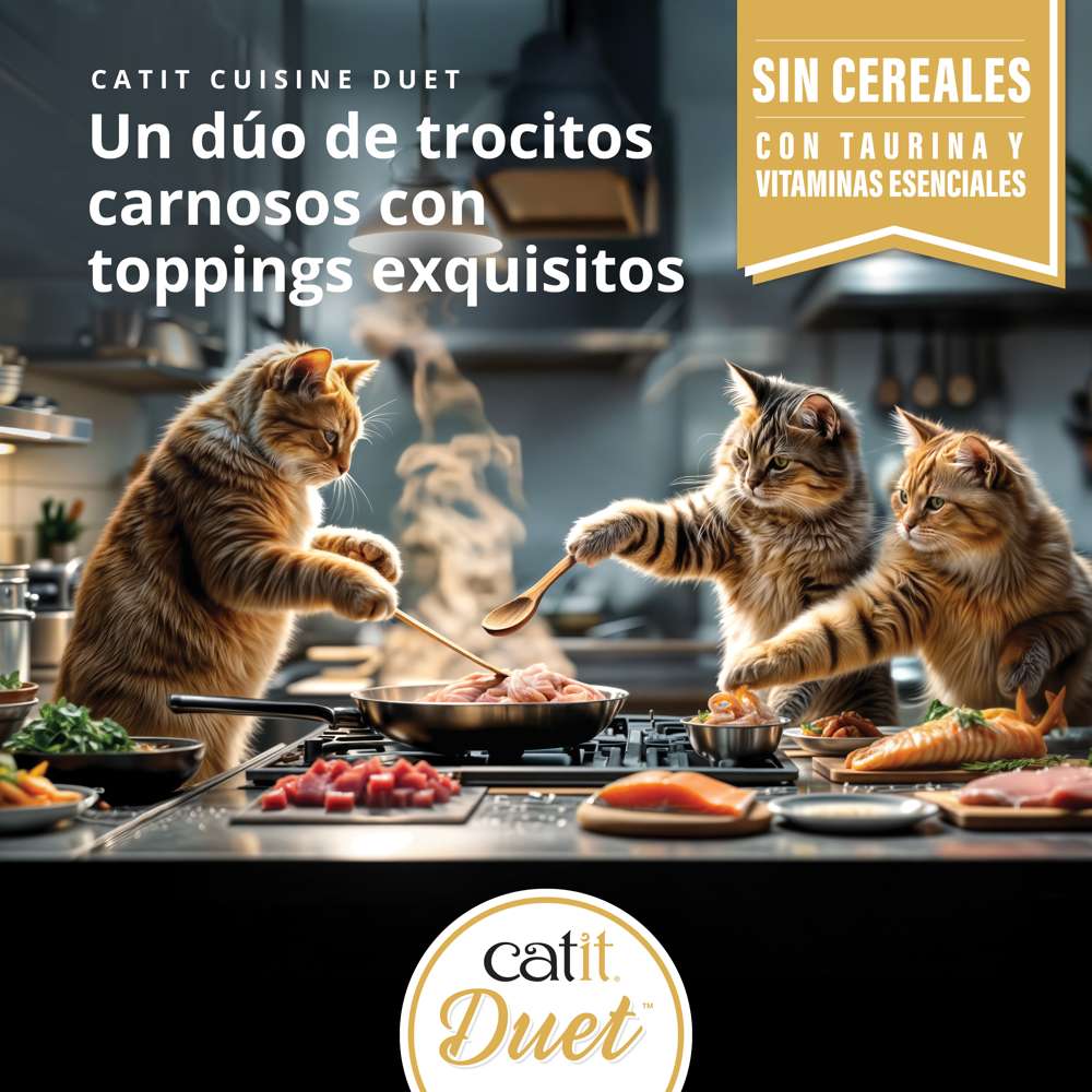 Dúo de carne con toppings para gatos Catit Cuisine Duet 75g - Pack de 12 unidades