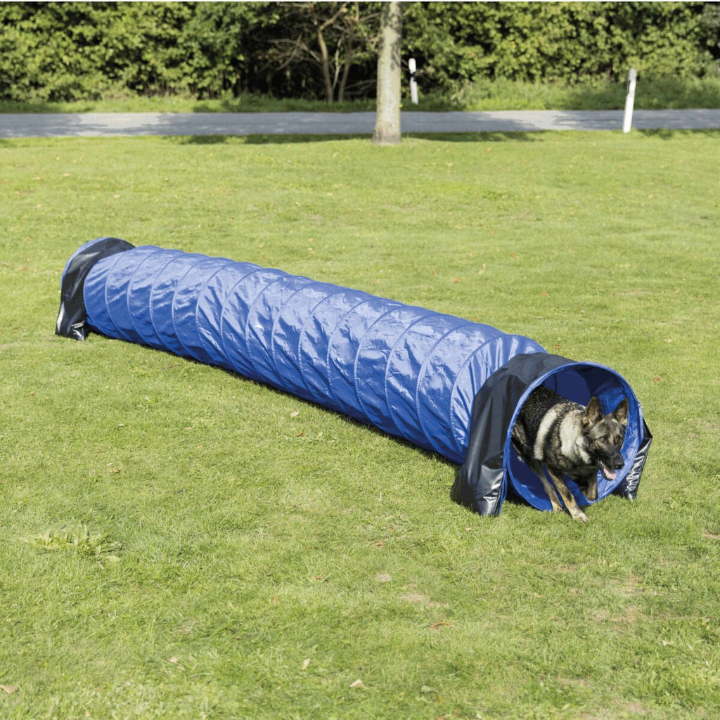 Túnel Básico para Agility azul