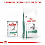 Royal Canin Diet Canine Wet Diabetic Special