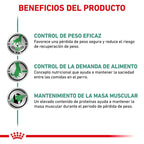 Royal Canin Diet Canine Wet Diabetic Special