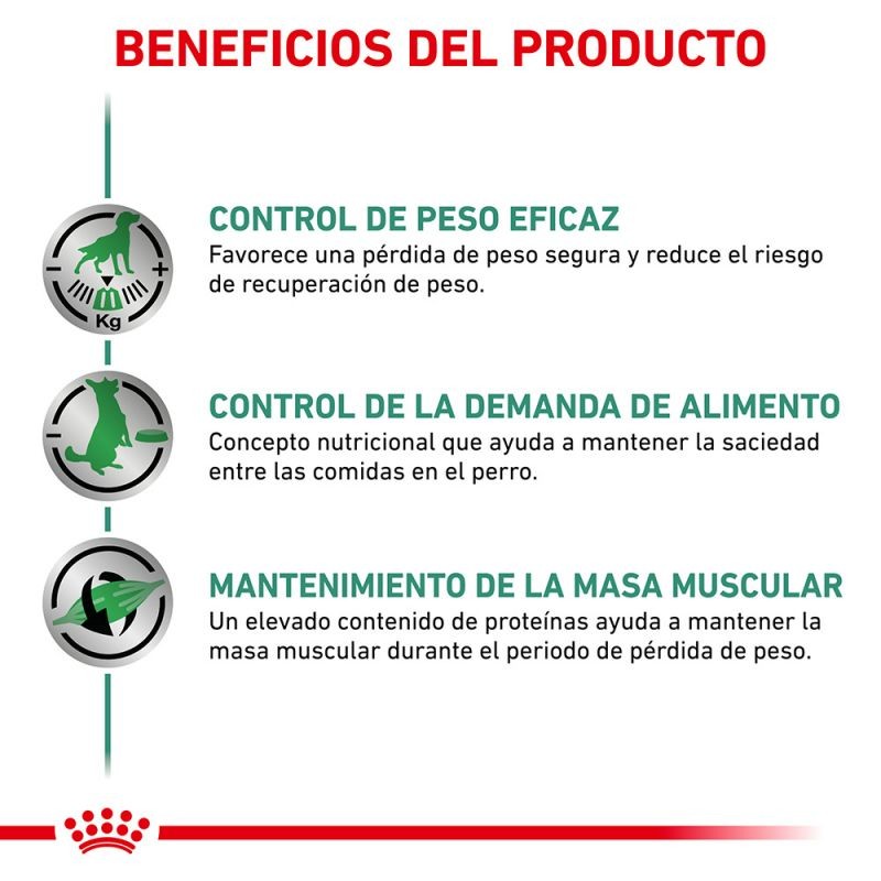 Royal Canin Diet Canine Wet Diabetic Special