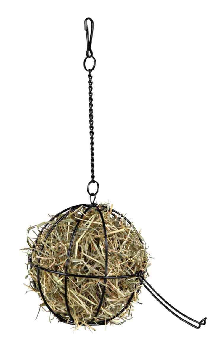 Bola de Alimento - Pack de 3 unidades