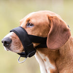 Trixie Bozal Ajustable para perros