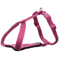 Arnés-Y Premium ColorOrquídea XS (30–35cm/10mm)
