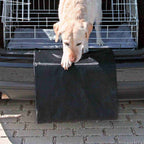 Protector Trasero negro