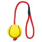 Surtido Pelotas de Deporte con Cuerda - Pack de 24 unidades