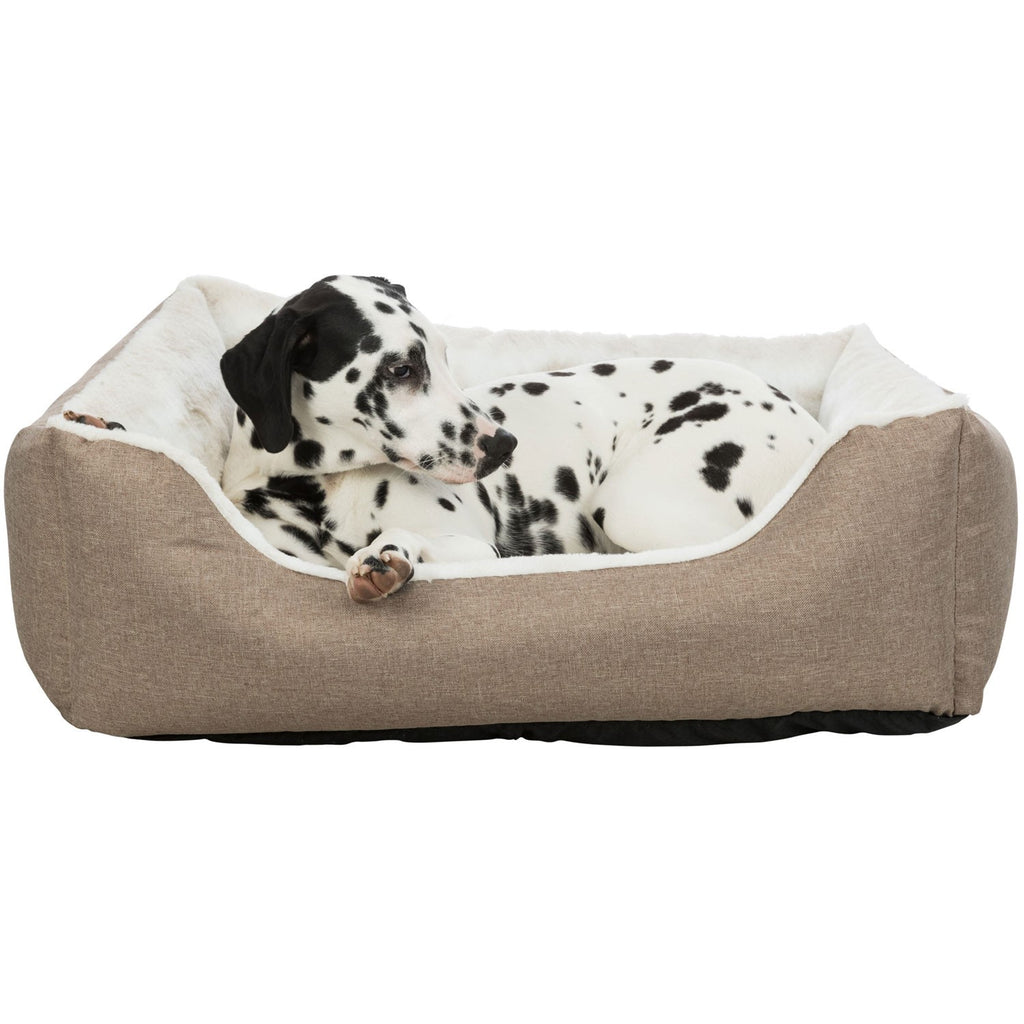 Cama Nelli