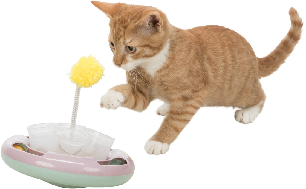 Junior Snack & Play
