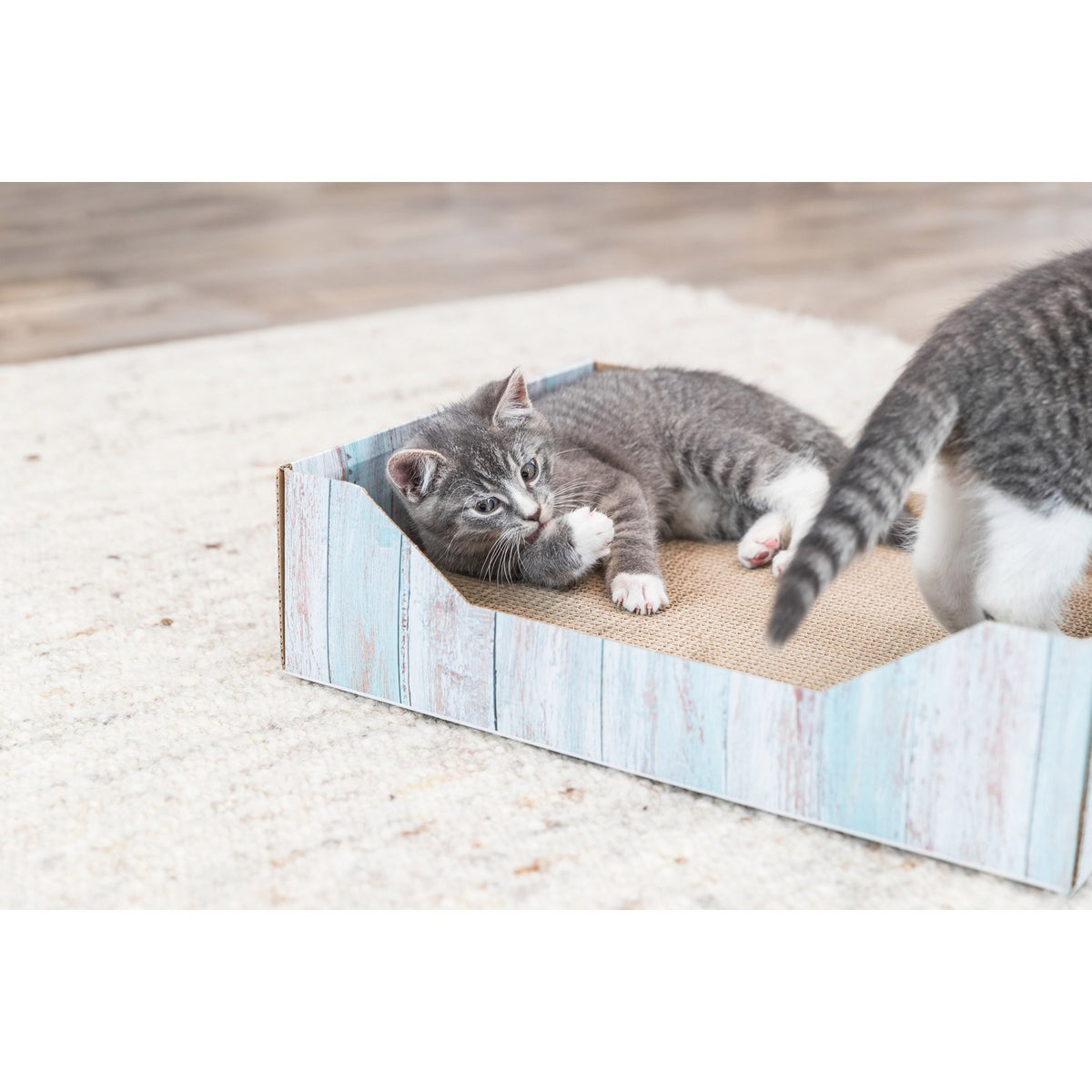 Cama de Rascado