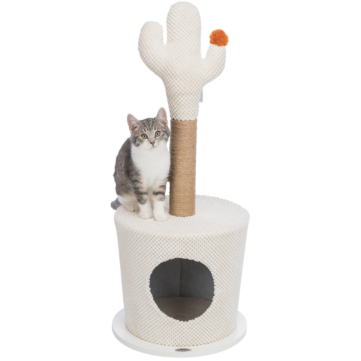 Cueva con cactus crema