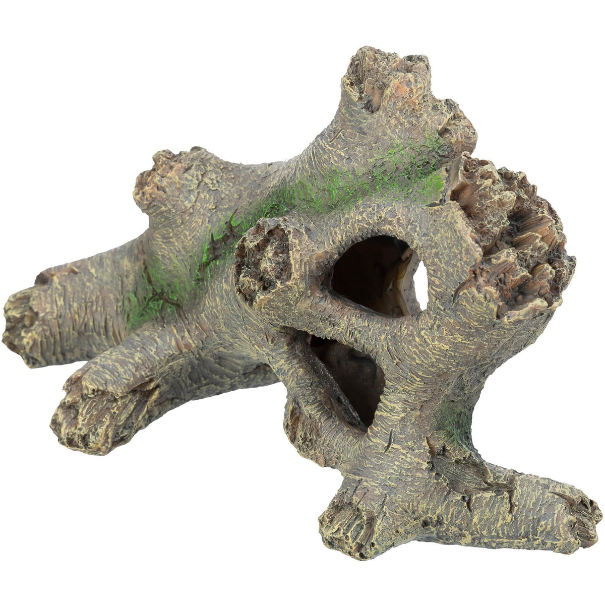 Tronco Hueco