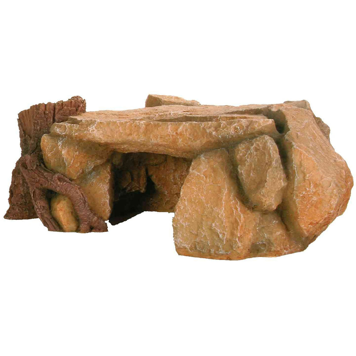 Meseta Rocosa con Pie de Árbol