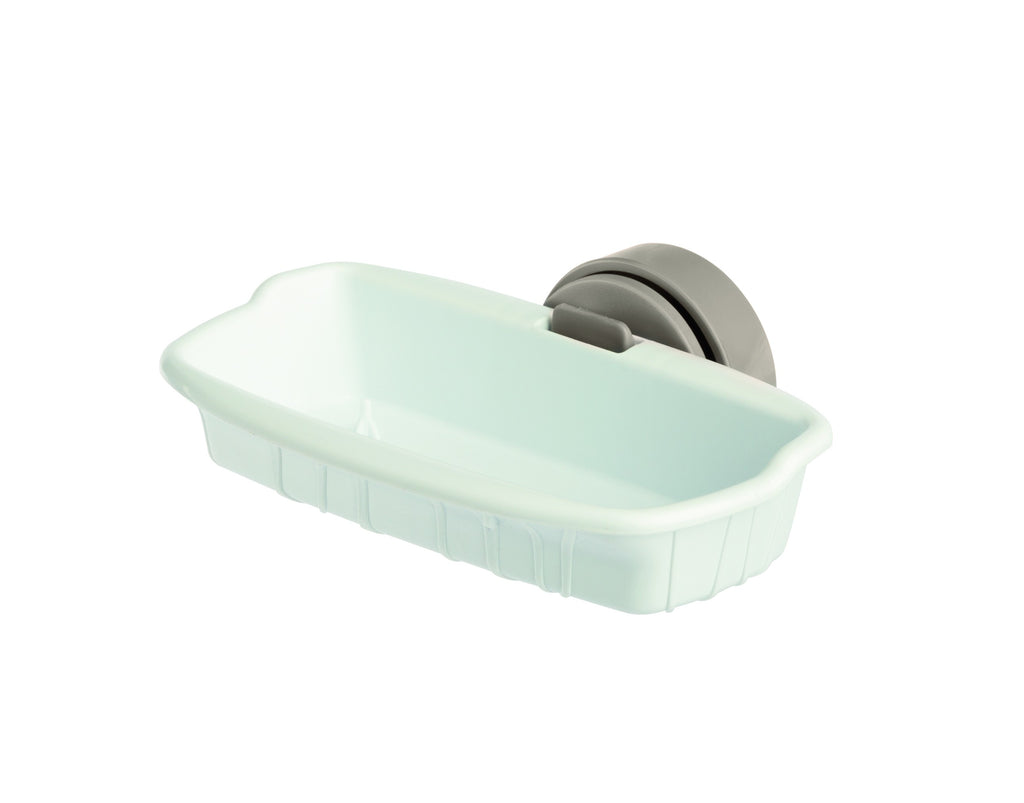 Porta-Bizcocho, Colores Variados