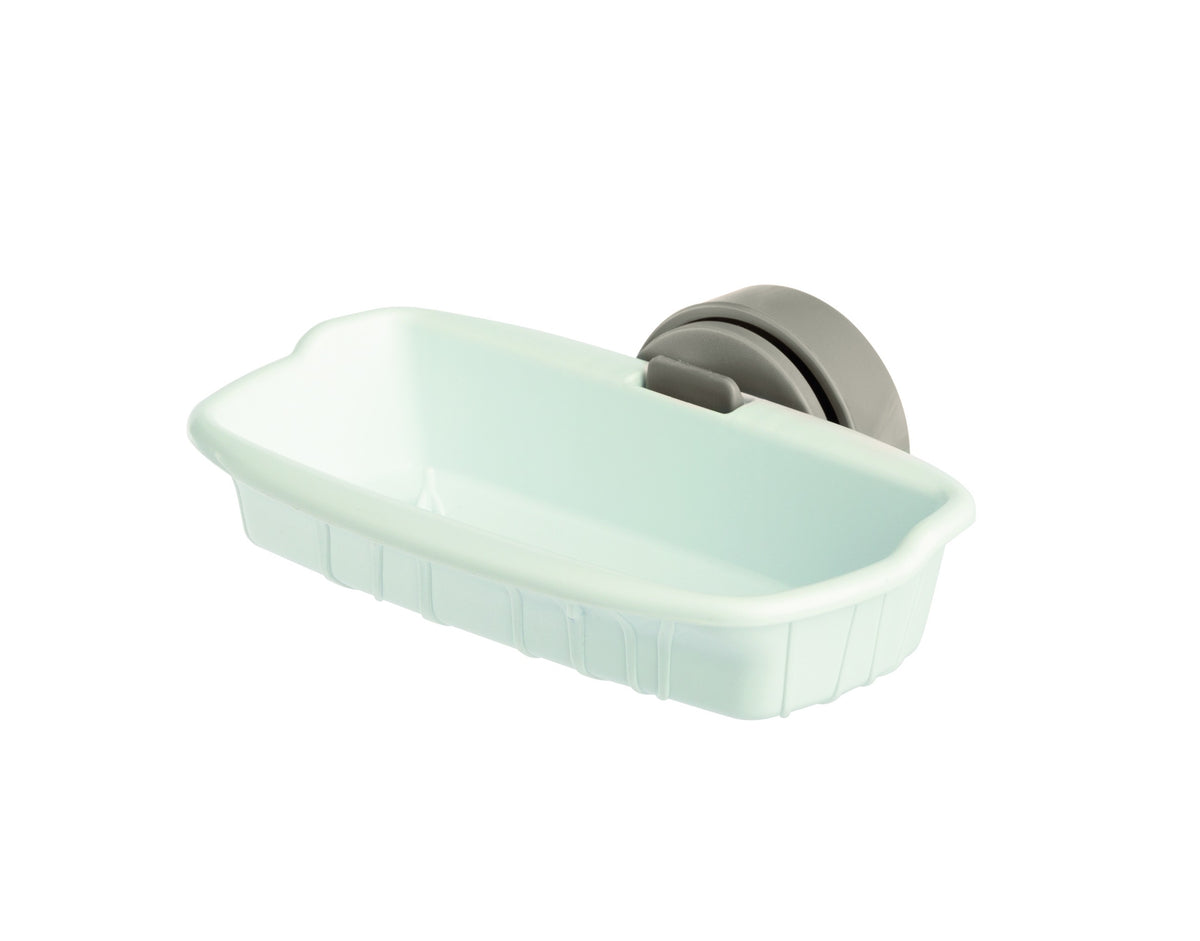 Porta-Bizcocho, Colores Variados