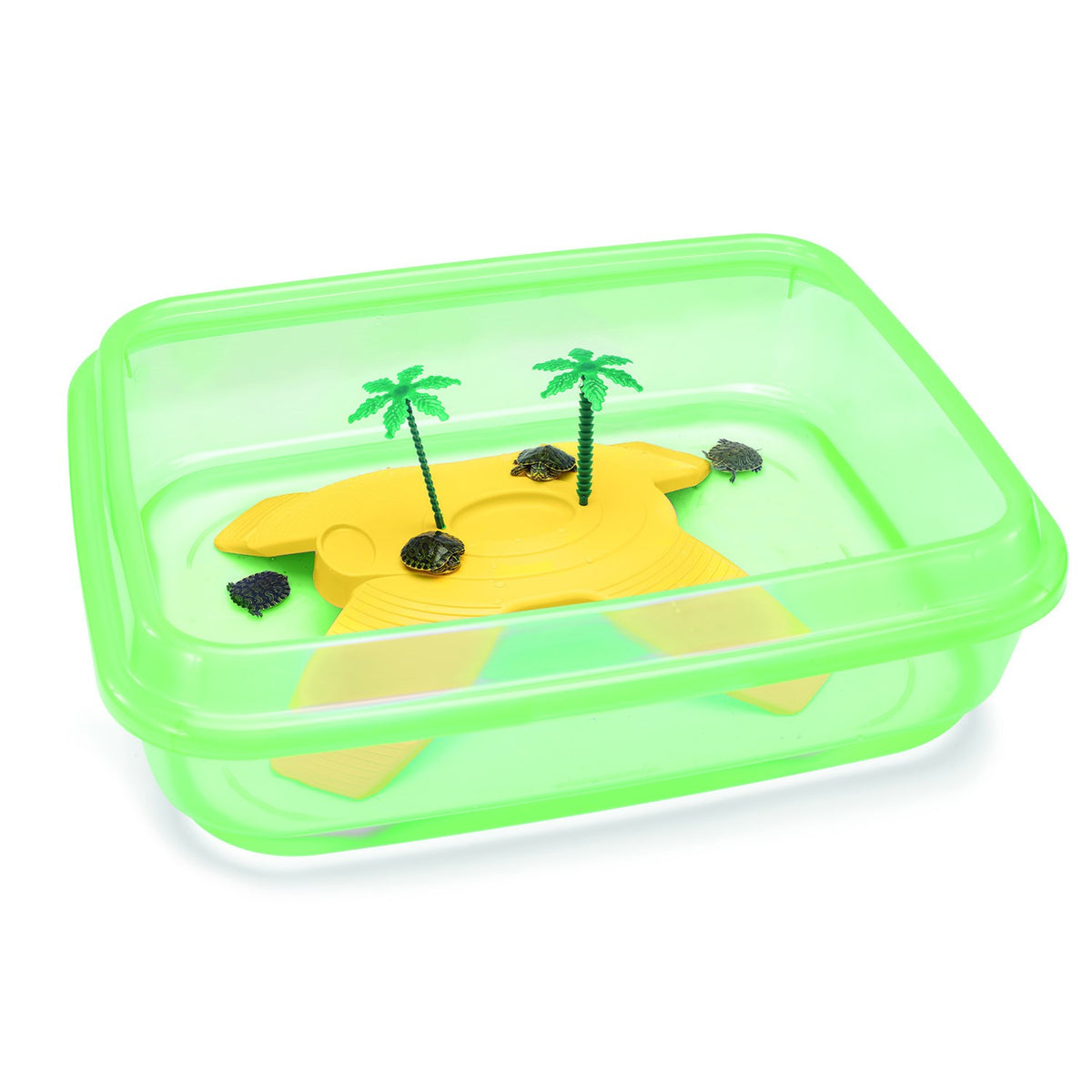 Tortuguera NINJA - Pack de 6 unidades Verde